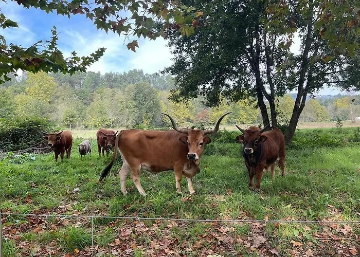 Casa de Férias Casa Dos Cortelhas